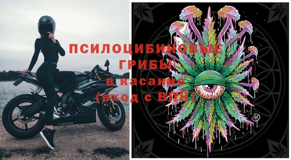 хмурый Алексеевка