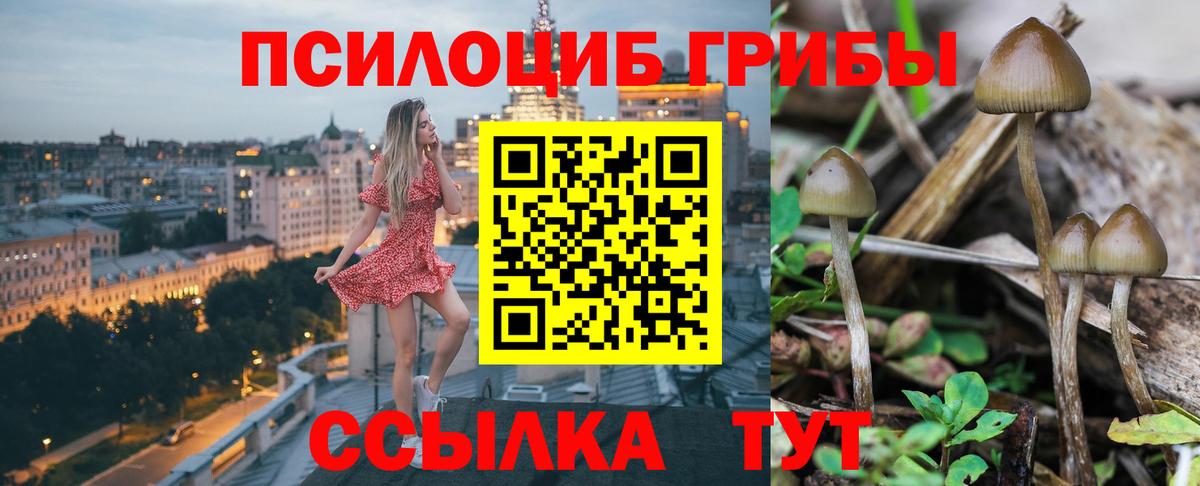 Псилоцибиновые грибы прущие грибы Домодедово