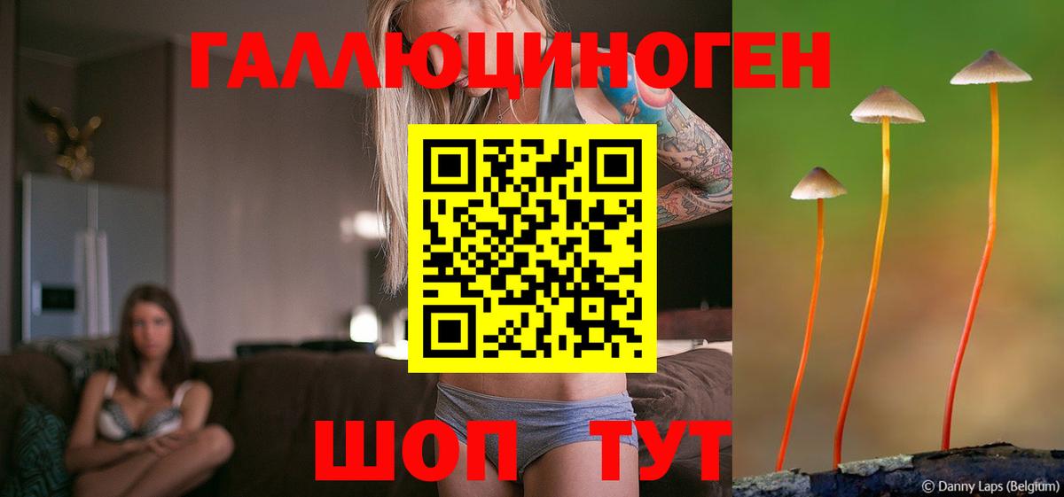 Псилоцибиновые грибы MAGIC MUSHROOMS  Вход с VPN  купить   Галлюциногенные грибы MAGIC MUSHROOMS  Домодедово 
